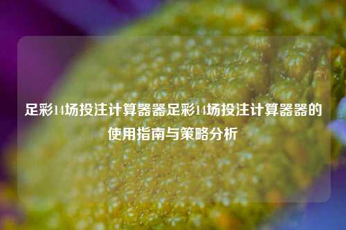 足彩14场投注计算器器足彩14场投注计算器器的使用指南与策略分析
