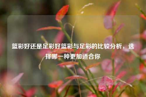 篮彩好还是足彩好篮彩与足彩的比较分析，选择哪一种更加适合你