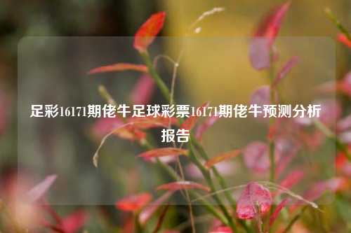 足彩16171期佬牛足球彩票16171期佬牛预测分析报告