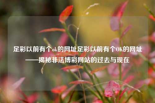 足彩以前有个ok的网址足彩以前有个OK的网址——揭秘非法博彩网站的过去与现在