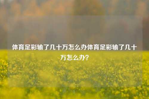 体育足彩输了几十万怎么办体育足彩输了几十万怎么办？