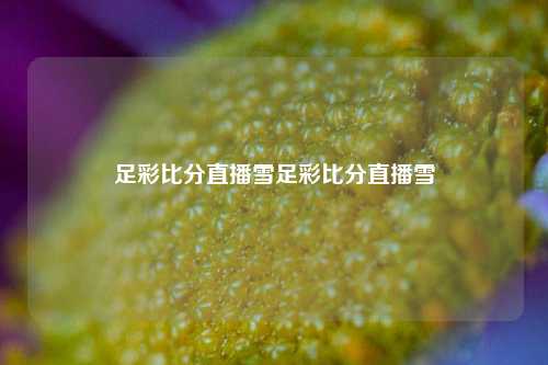 足彩比分直播雪足彩比分直播雪